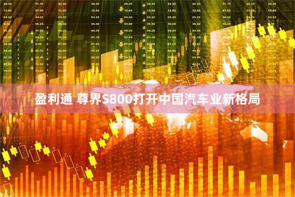 盈利通 尊界S800打开中国汽车业新格局