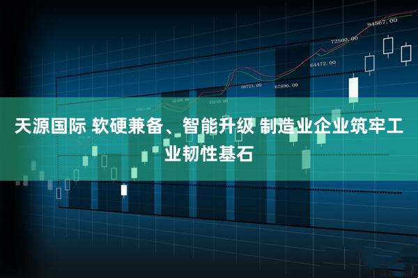 天源国际 软硬兼备、智能升级 制造业企业筑牢工业韧性基石