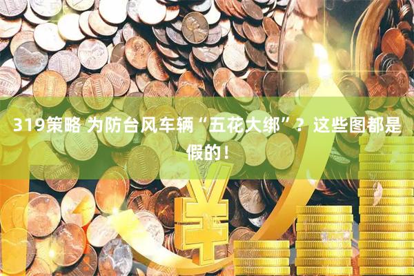 319策略 为防台风车辆“五花大绑”？这些图都是假的！