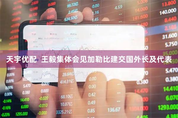 天宇优配  王毅集体会见加勒比建交国外长及代表