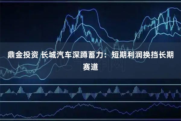 鼎金投资 长城汽车深蹲蓄力：短期利润换挡长期赛道